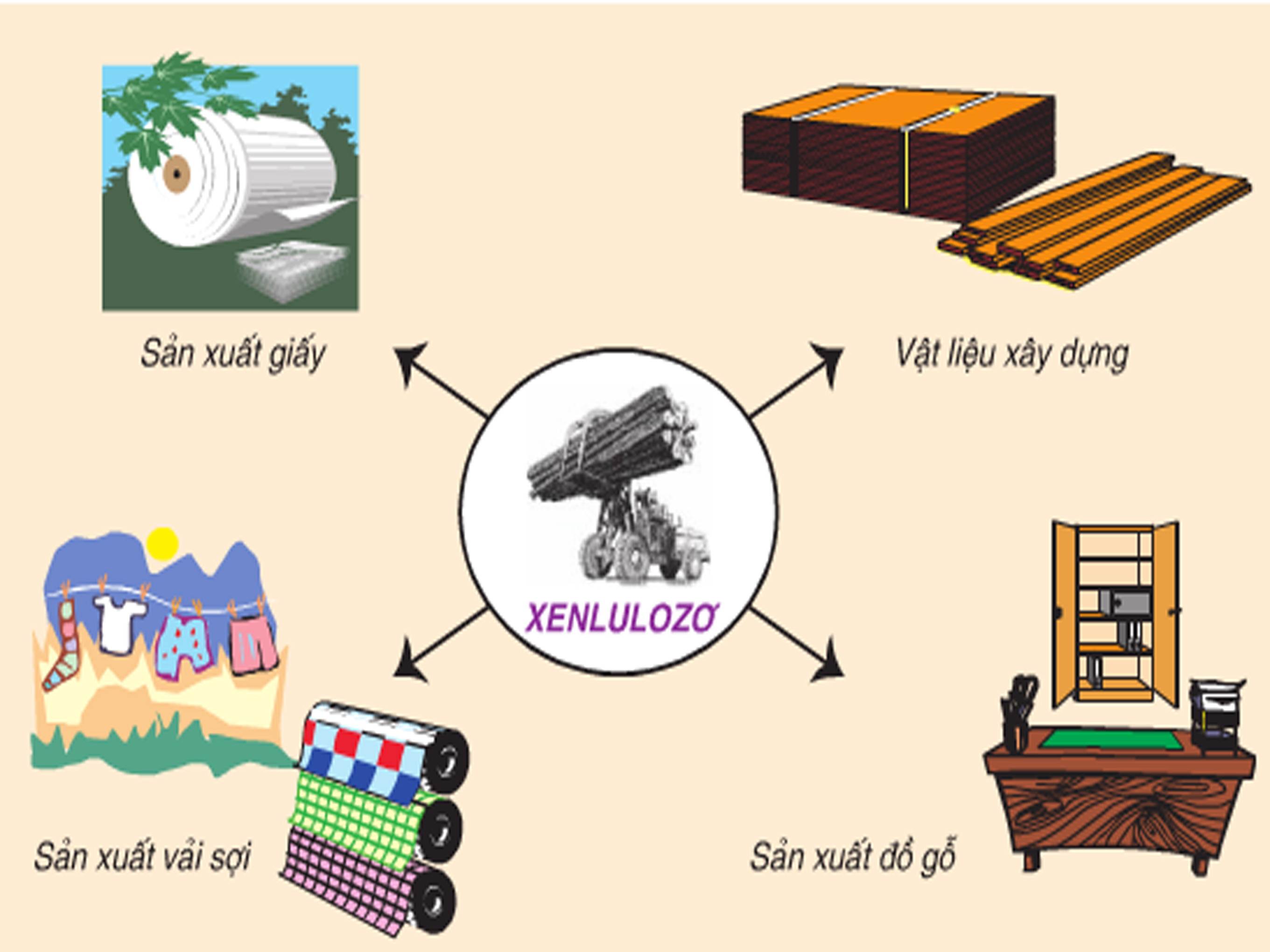 Màng xốp Cellulose có thể ngăn chặn hiện tượng đoản mạch trong pin