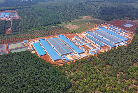 Thi công lắp đặt hệ thống cơ điện trang trại heo JAPFA Bình Phước