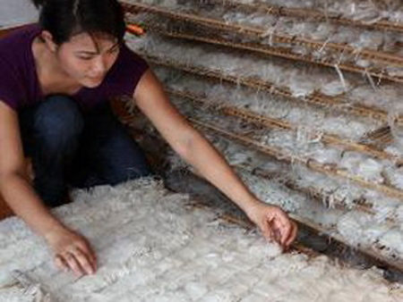 Máy sấy nông sản bằng năng lượng Mặt Trời