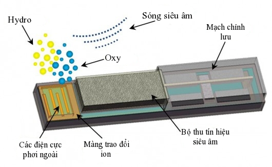 Máy tạo oxy siêu nhỏ giúp tăng hiệu quả chữa trị ung thư kỵ khí